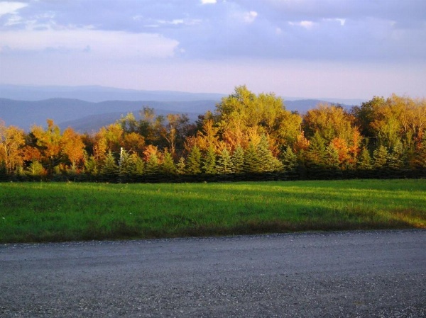 Cooper Hill Inn image 8